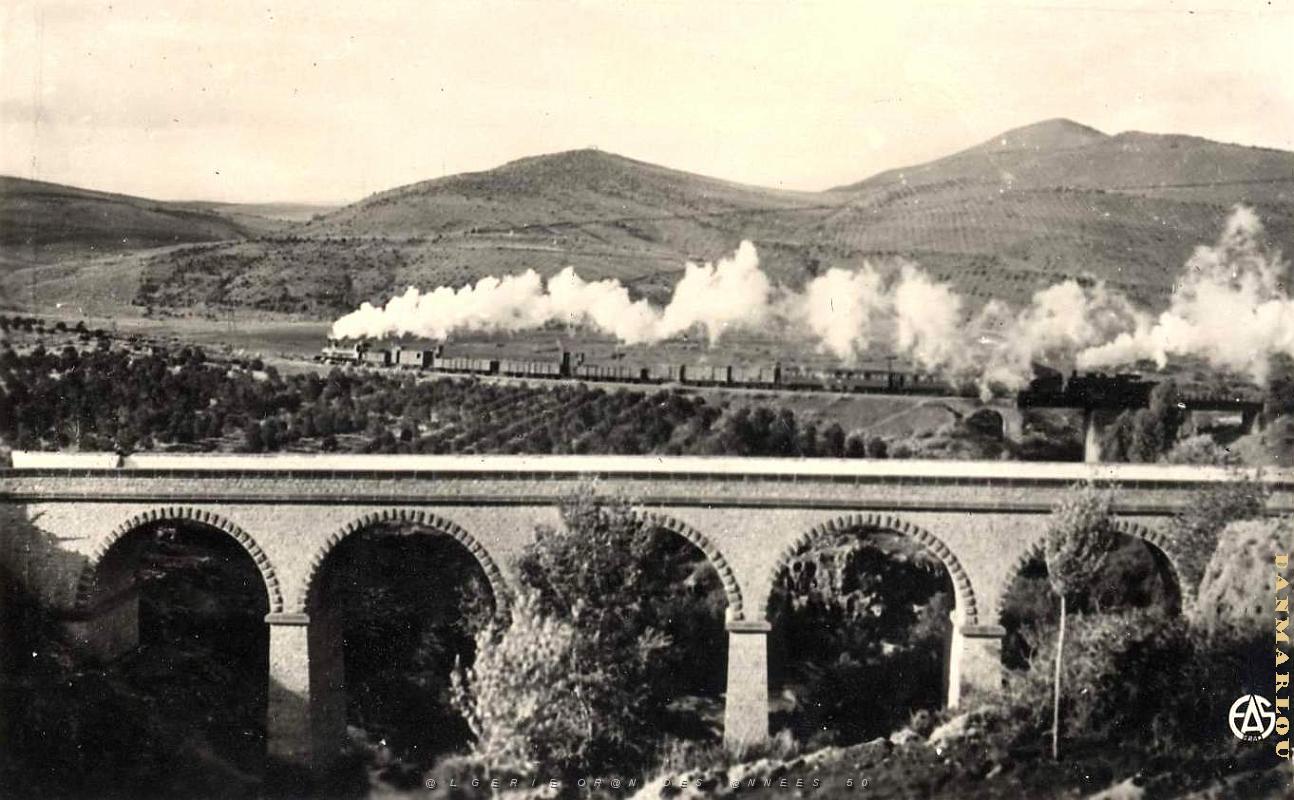 Saida 519- Train sortant de la gare COLLECTION DES AMIS DE ND DE SANTA CRUZ.jpg